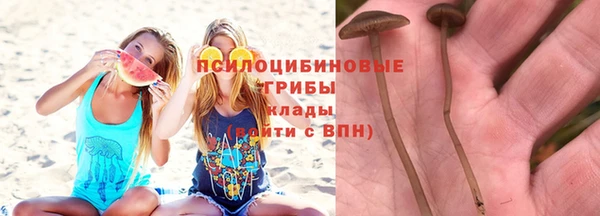 не бодяженный Абинск
